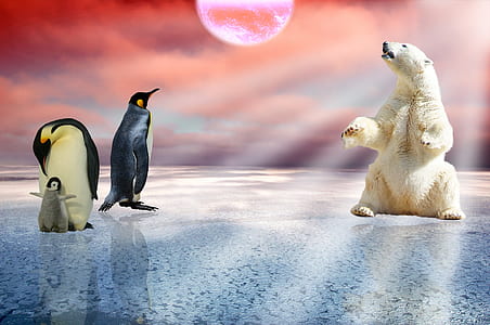 white polar bead beside penguins