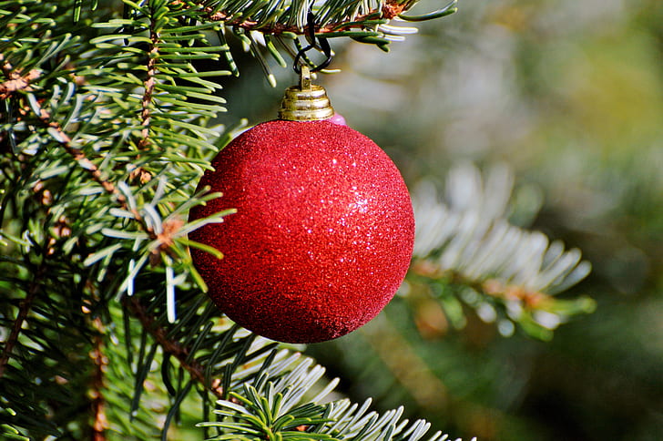 selective focus photography of red bauble