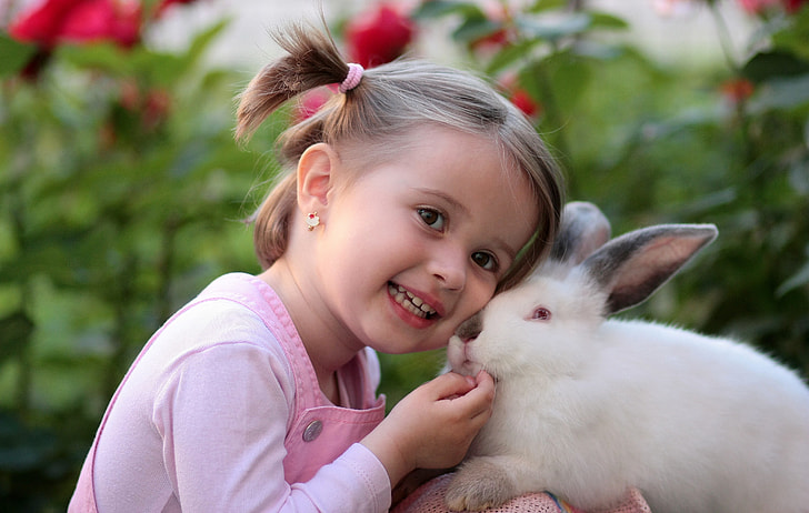 toddler girl beside white rabbit during daytime