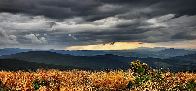 orange and green field near mountain under gray clouds