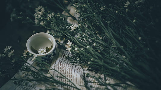 Ceramic Teacup Near White Flowers With Plant