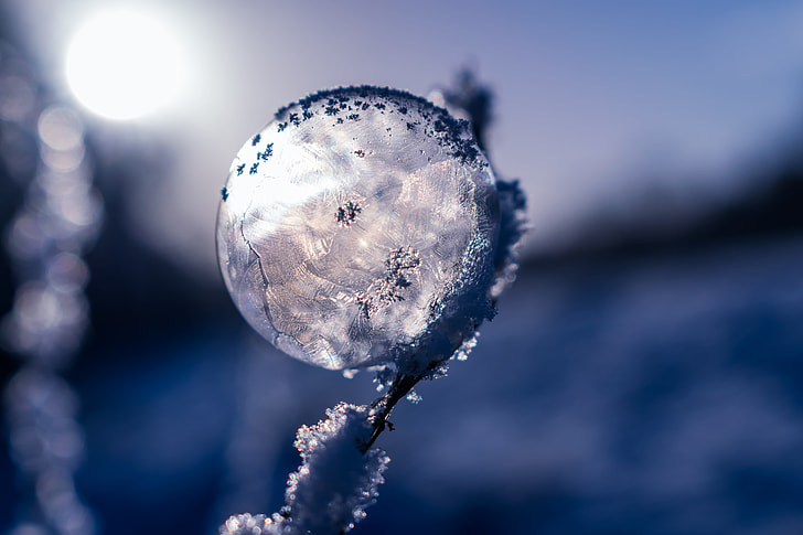 close-up lens photography of frozen dew during dawn