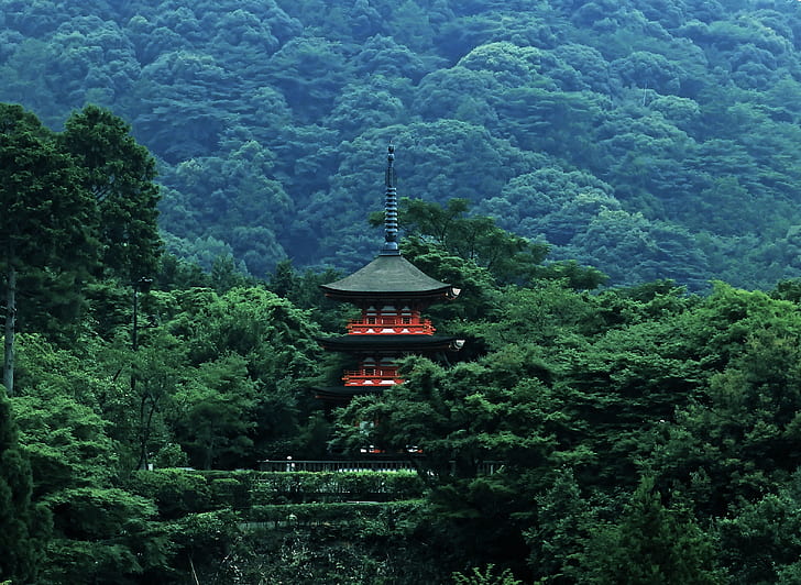 black and red temple in forest