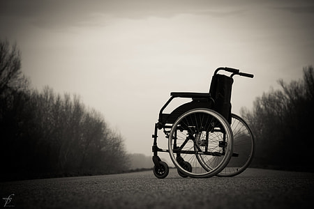 grayscale of wheelchair near grass