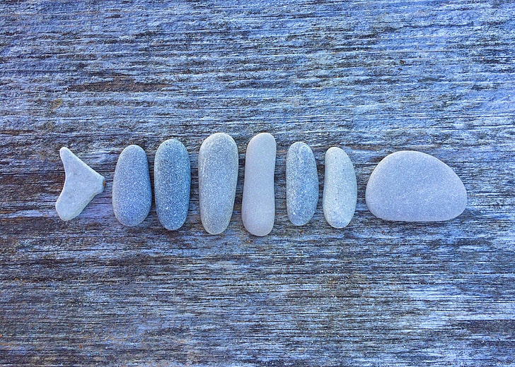 gray and white stones on brown surface