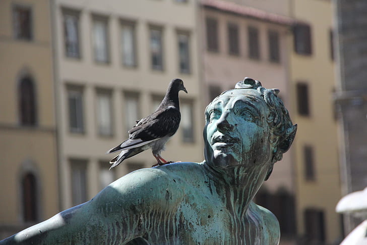 selective focus photo of black pigeon on person shoulder statue