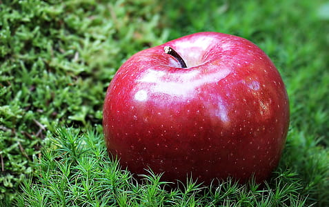 Shallow Focus Photography of Red Apple in Green Grass