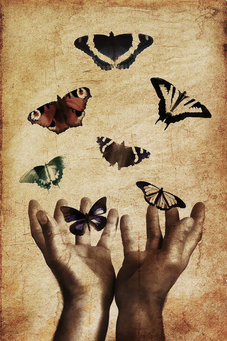 assorted butterflies and human hands painting