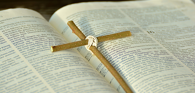 brown wooden crucifix on open book