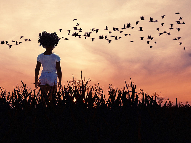 girl standing on silhouette of grass watching birds during golden hour