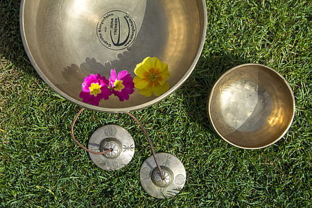 stainless steel bowl on green grass during daytime