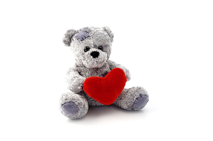 photo of gray bear holding heart plush toy