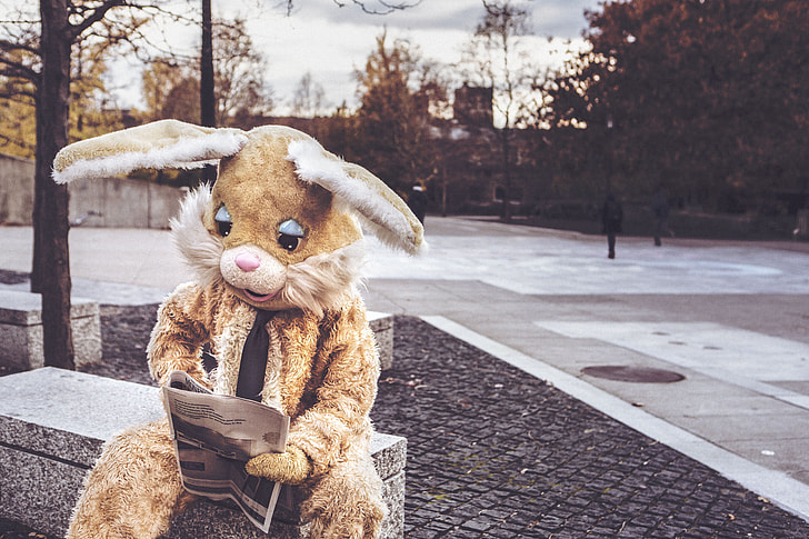 person wearing brown bunny costume