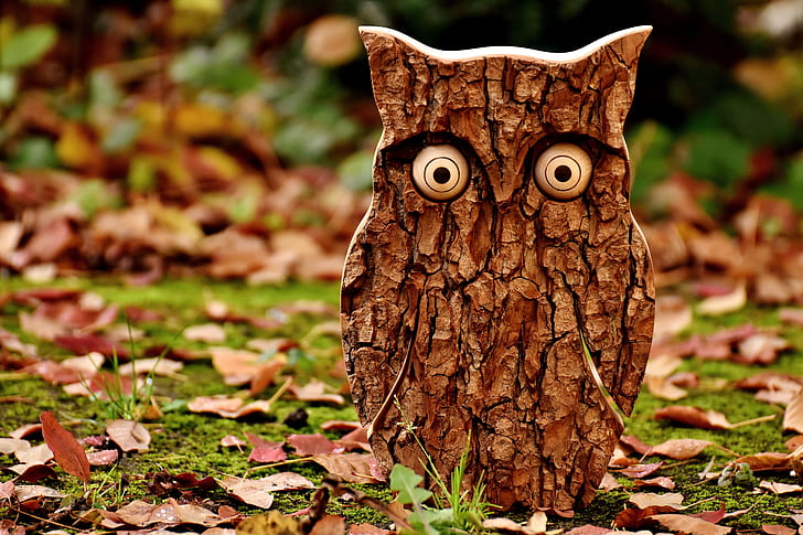 wooden owl standing on a green grass and dried leaves