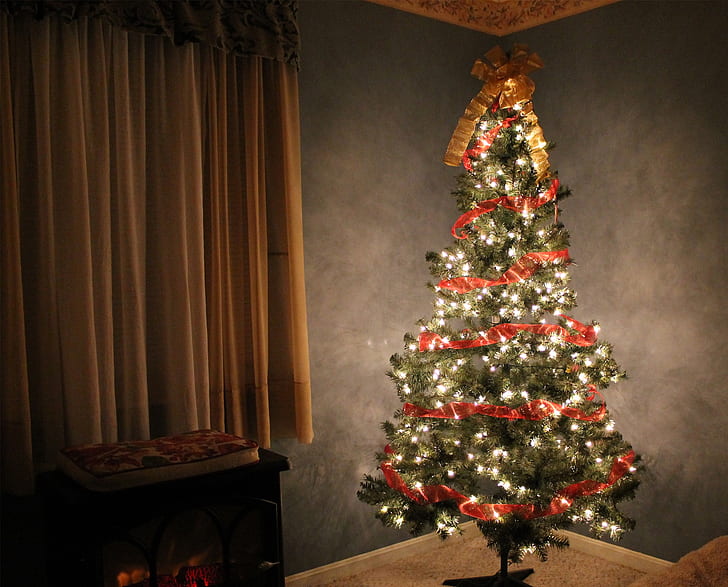 lighted Christmas tree near curtain