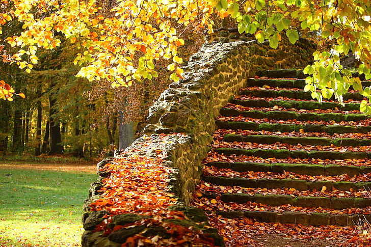 landscape photograph of black stone stairs