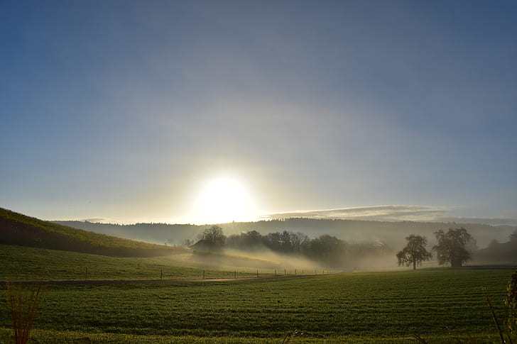 green field with fog and sunrise