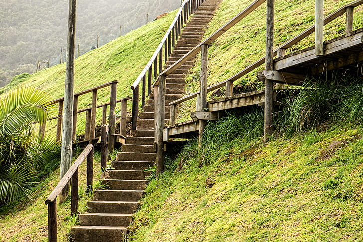 concrete staircase surrounded by green grass