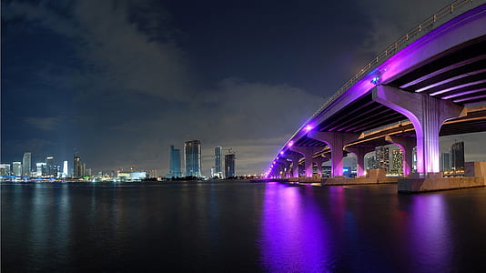 bridge during nighttime