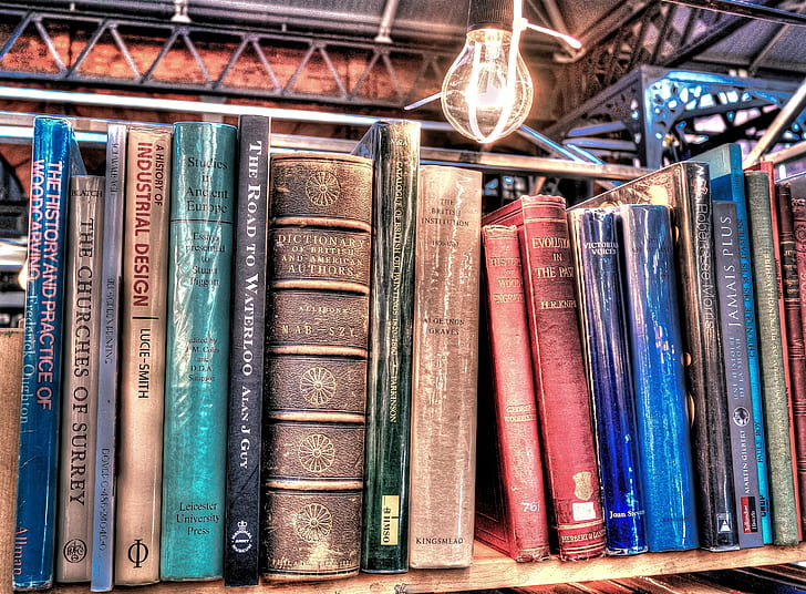 Books, old books, old, study, library - free image from
