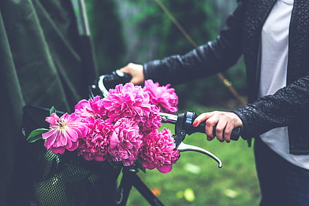 Bike with flower basket