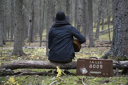 person sitting on tree log playing guitar