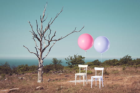 two white armless chairs with pink and purple balloons