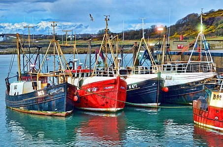 Red Blue and White Fishing Boats on Dock during Daytime