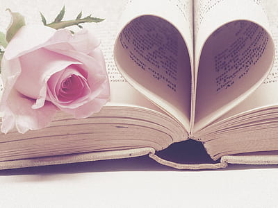 open book with heart page