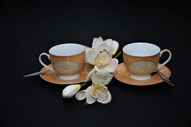 two brown-and-white teacups with saucer beside white orchid flower