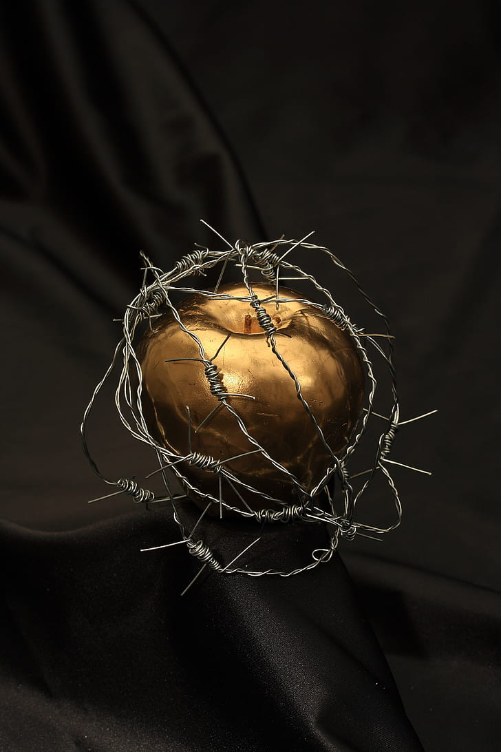 gold apple covered with barbed wires table decor