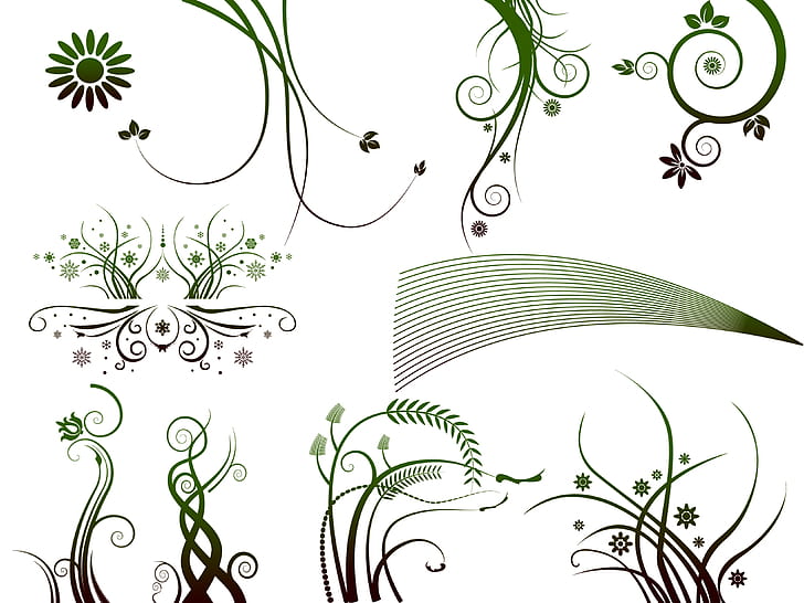 green and white floral illustration