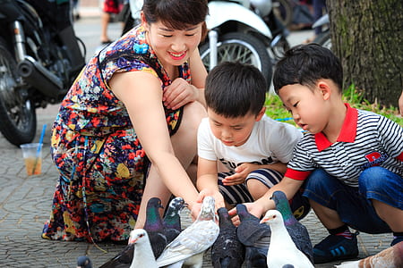 woman and children feeding pigeons during daytime