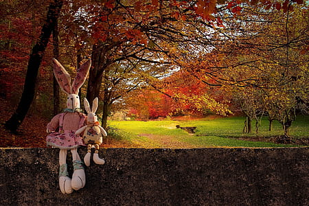two white and pink rabbit plush toys on concrete wall with trees background