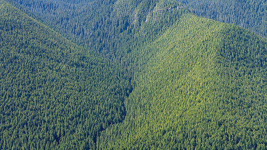 high angle photography of green trees on mountain hills