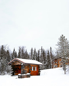 brown wooden cabin on snow field during daytime