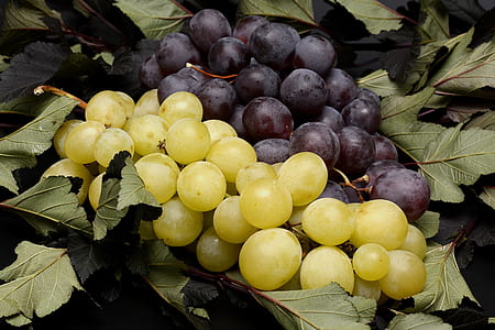 bunch of white and purple grapes