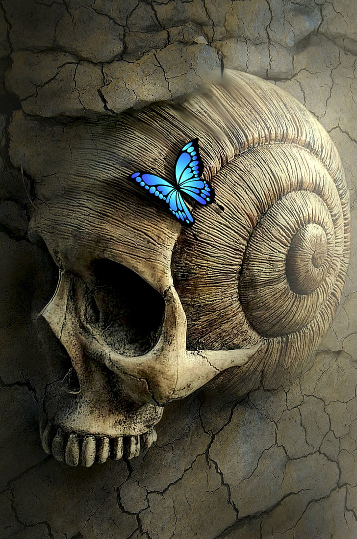 Ulysses butterfly on human seashell skull digital wallpaper