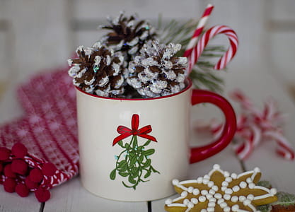 white and red ceramic mug with pinetree fruits