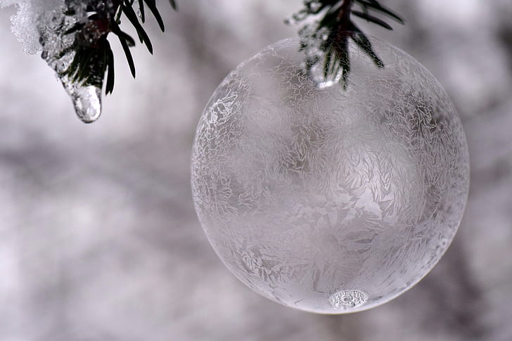 ball, ice ball, frosty, frozen, soap bubble, frozen bubble