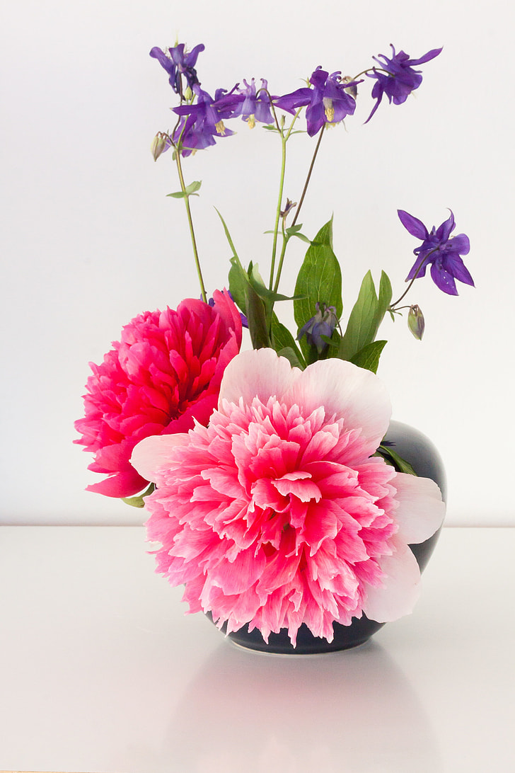 photography of bouquet of pink carnation flowers