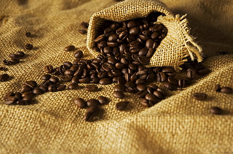 coffee beans on brown fabric