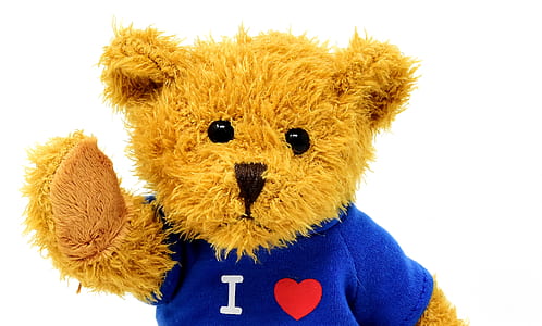 brown bear plush toy wearing blue shirt