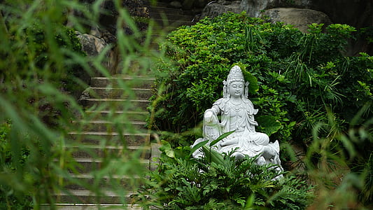 gray Buddha statue surrounded by green leaf plants at daytime
