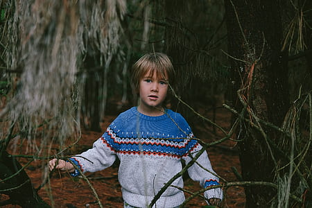 boy wearing blue and gray sweater in forest