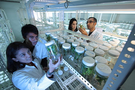 four people wearing white laboratory dresses inside the lab holding jars