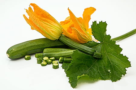 yellow flower and green vegetable