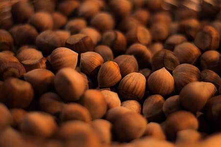 Macro Shot Brown Nuts