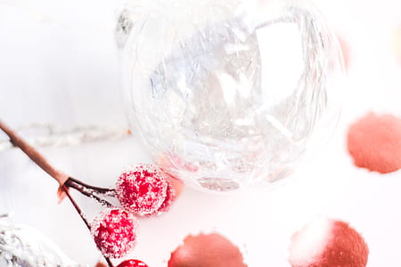 Selective Focus Photography of Frost Covered Red Cherries