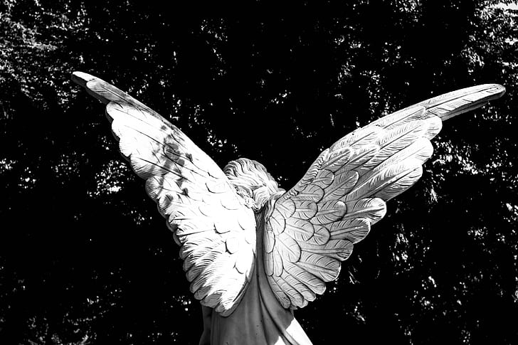greyscale photography of female angel statue